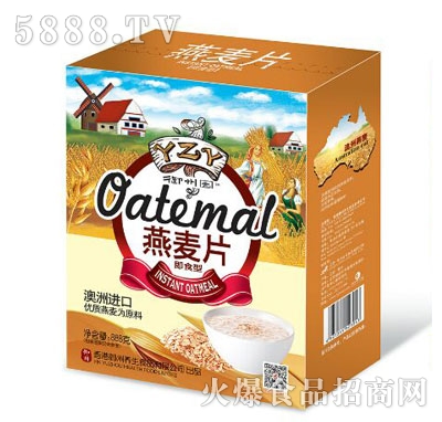 ���݈@����Ƭ��ʳ��888g