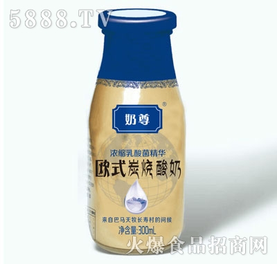 ����Wʽ̿������300ml