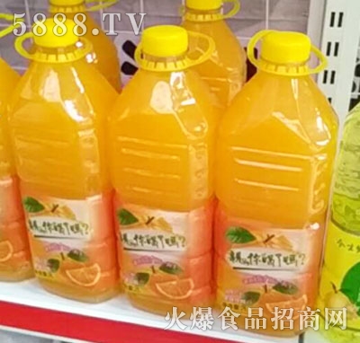 ������(m��ng)��ƿ��֭2L