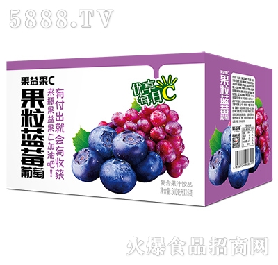 �����C�����{ݮ���ѹ�֭500mlx15