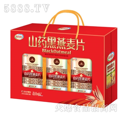 �����\ɽˎ������Ƭ