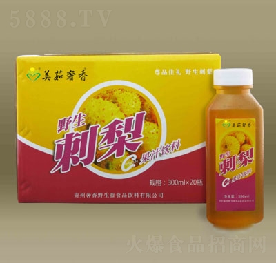 ��������Ұ������֭���300mlX20ƿ