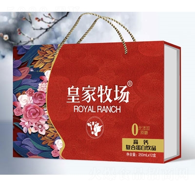 �ʼ��������}�ͺϵ����Ʒ250mlX12���b