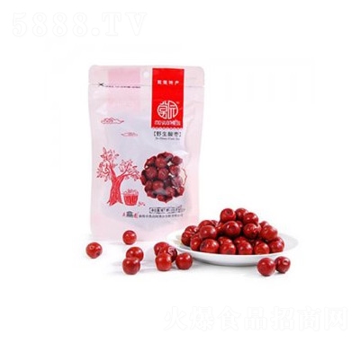 Ī�@Ұ���ᗗ���T