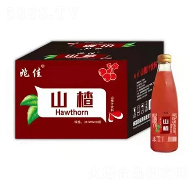 �׼�ɽ�֭���315mlX20ƿ