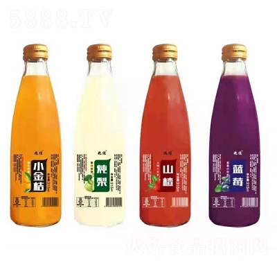 �׼ѹ�֭���ϵ��