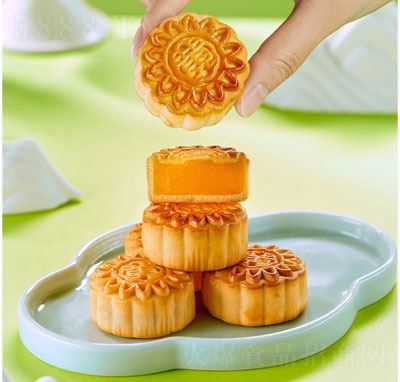 �S�����M������Vʽ���