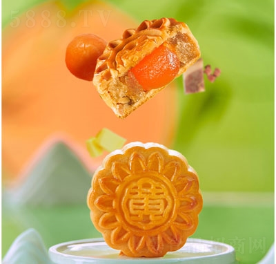 �S�����M������Vʽ�������