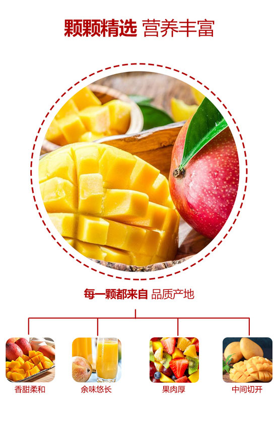 布爾諾斯益生菌橙子復(fù)合果汁飲料 布爾諾斯益生菌橙子復(fù)合果汁飲料