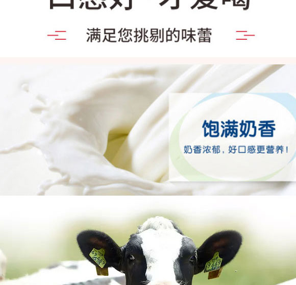 ��������}