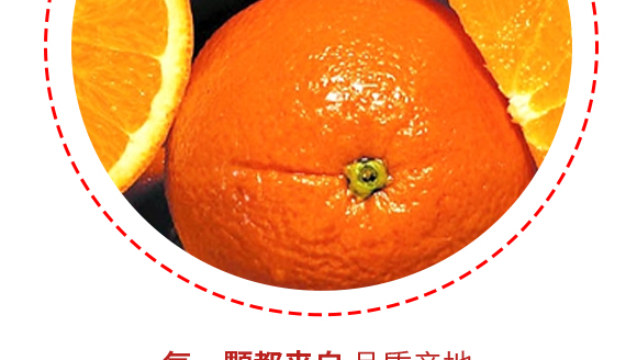 �����w���~�Ʒ���޹�˾--���Ӯa(ch��n)Ʒ����09_08