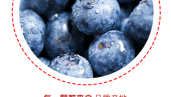 �����w���~�Ʒ���޹�˾-�{ݮ�a(ch��n)Ʒ����09_08