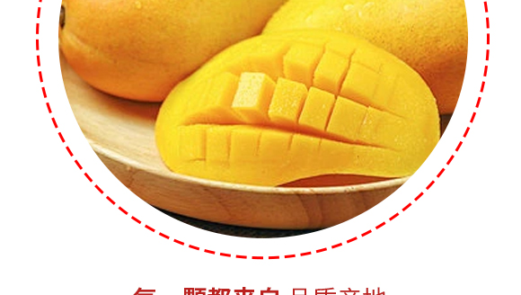 ���������Gɫ�Ʒ���޹�˾-â���a(ch��n)Ʒ����1230_08